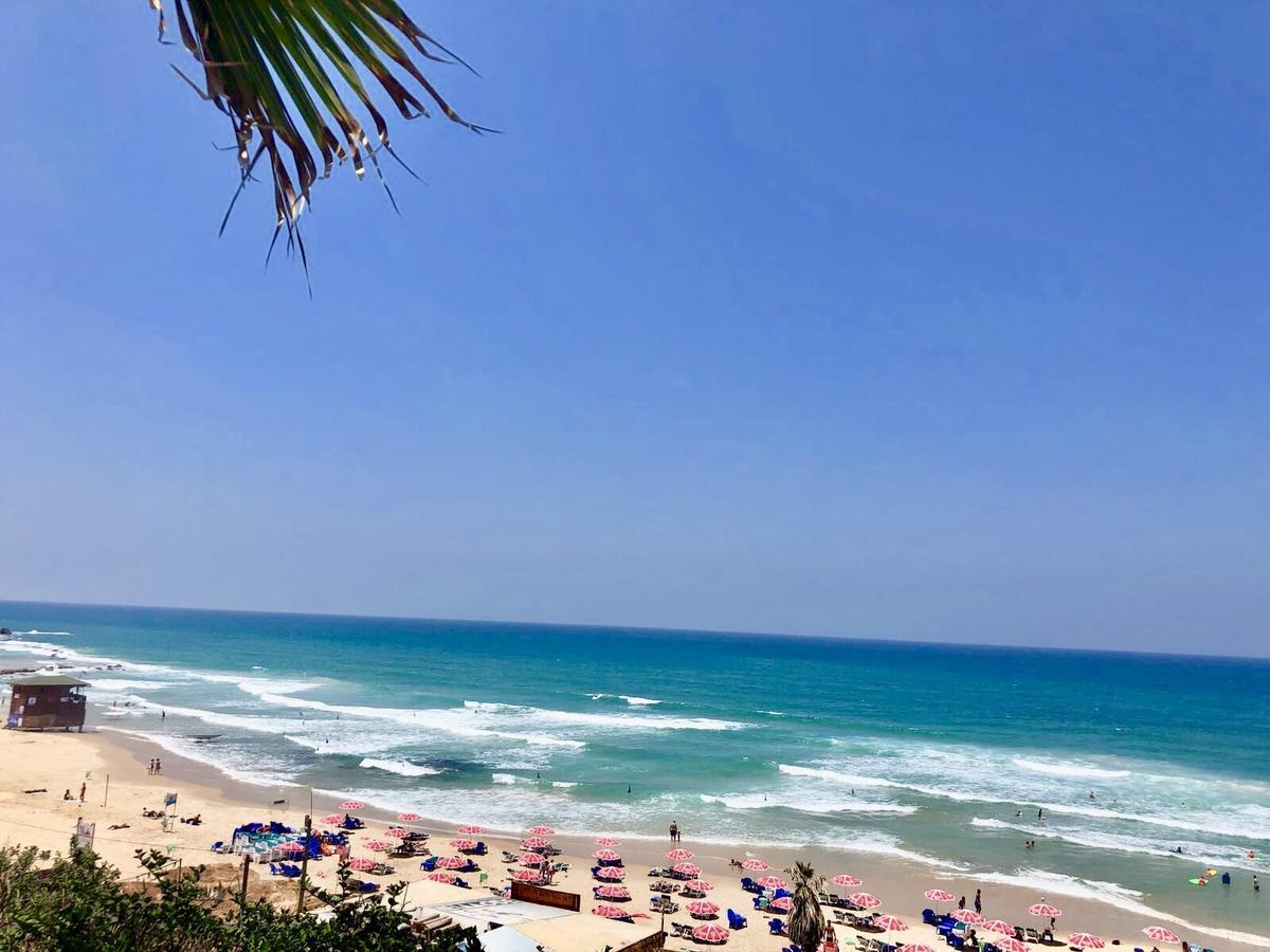 Studio Apartment In Bat-Yam 巴特亚姆 外观 照片