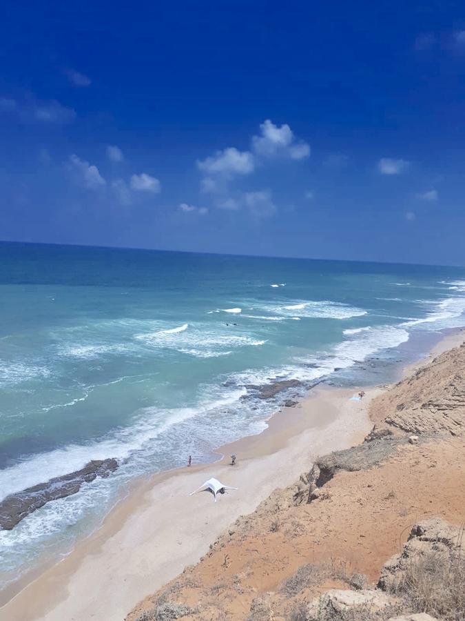 Studio Apartment In Bat-Yam 巴特亚姆 外观 照片